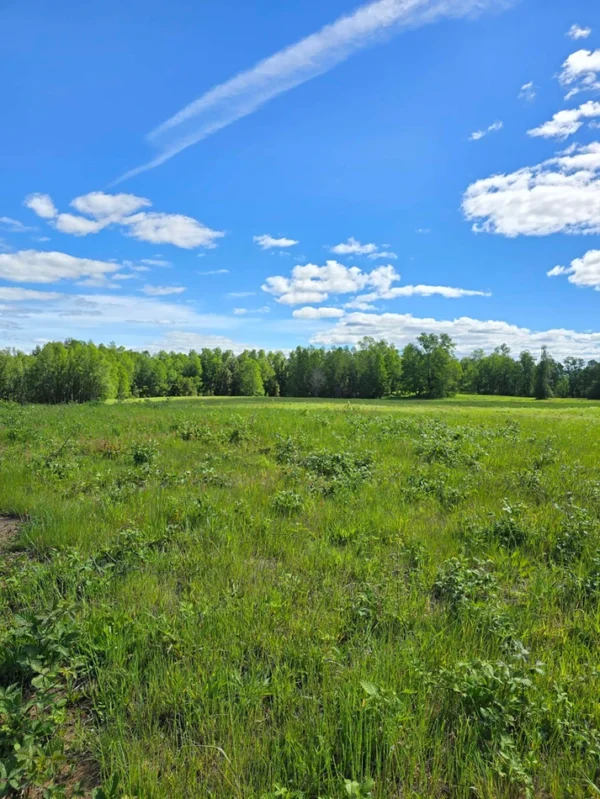 praderas de villarrica iii y iv desde $24.990.000