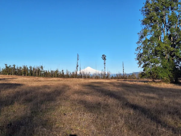 praderas de villarrica iii y iv desde $24.990.000