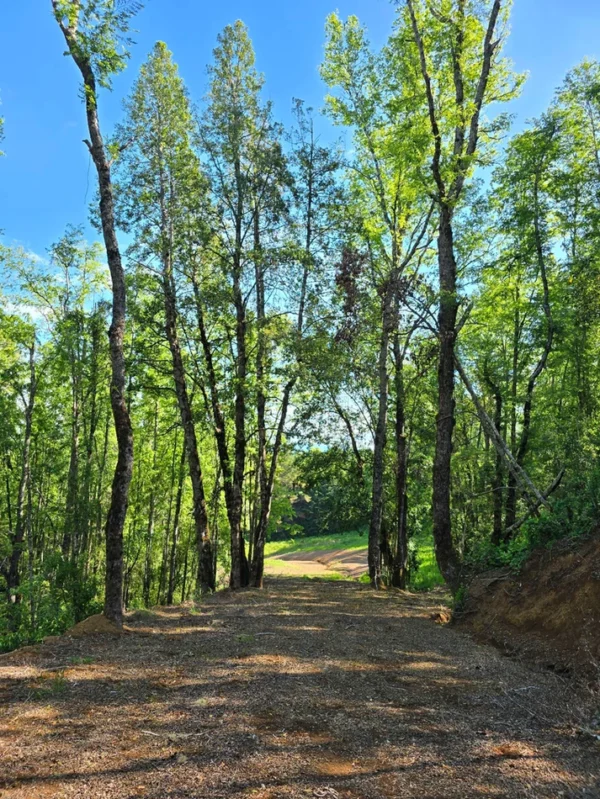 praderas de villarrica iii y iv desde $24.990.000