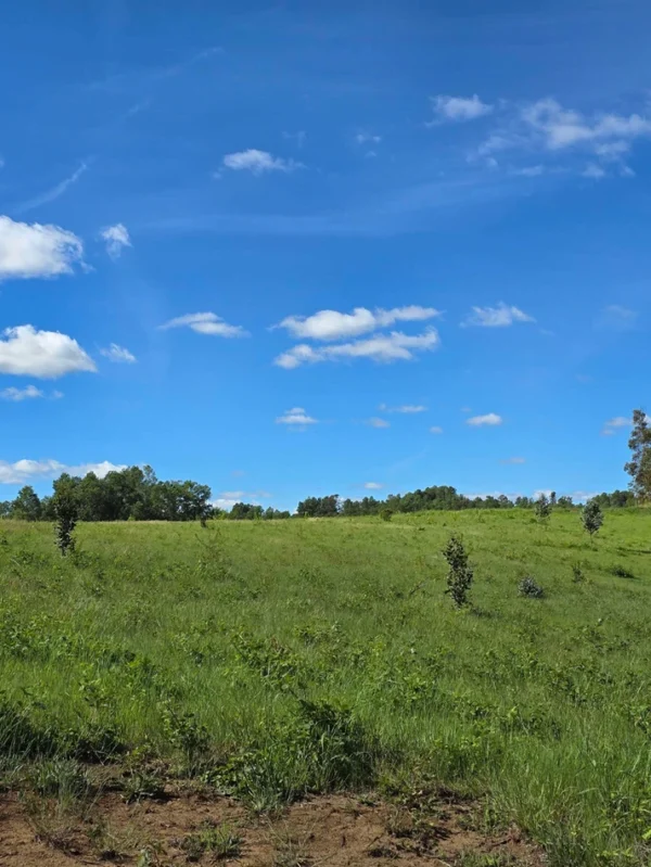 praderas de villarrica iii y iv desde $24.990.000