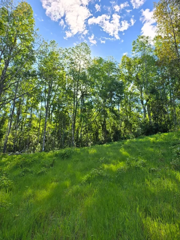 praderas de villarrica iii y iv desde $24.990.000