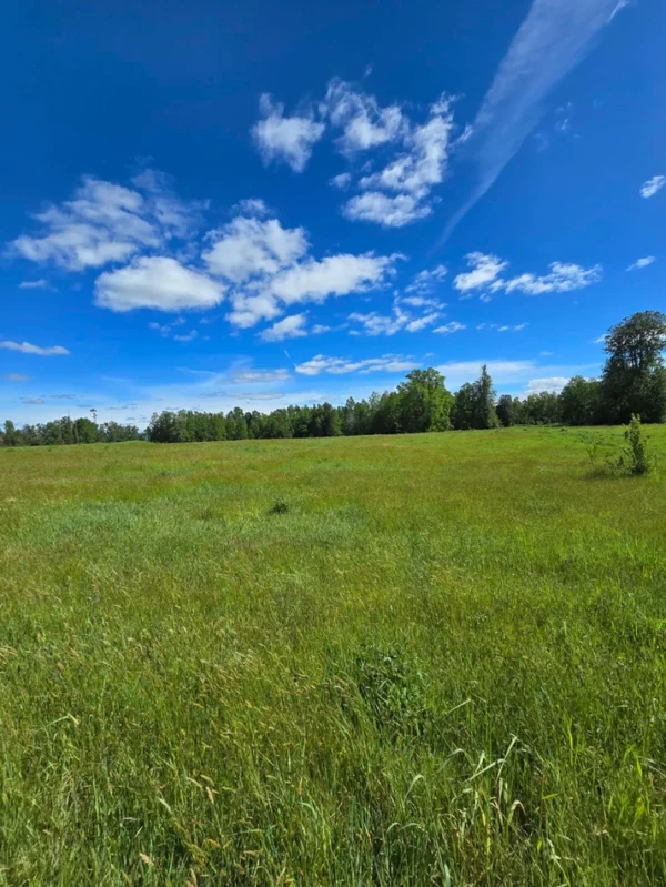 praderas de villarrica iii y iv desde $24.990.000