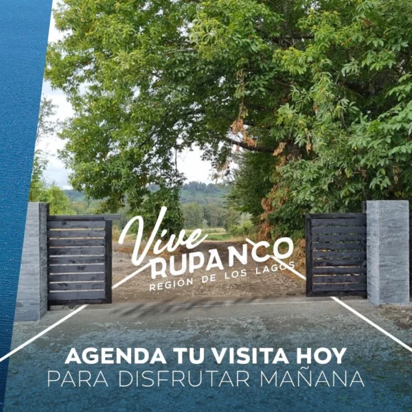 vive rupanco