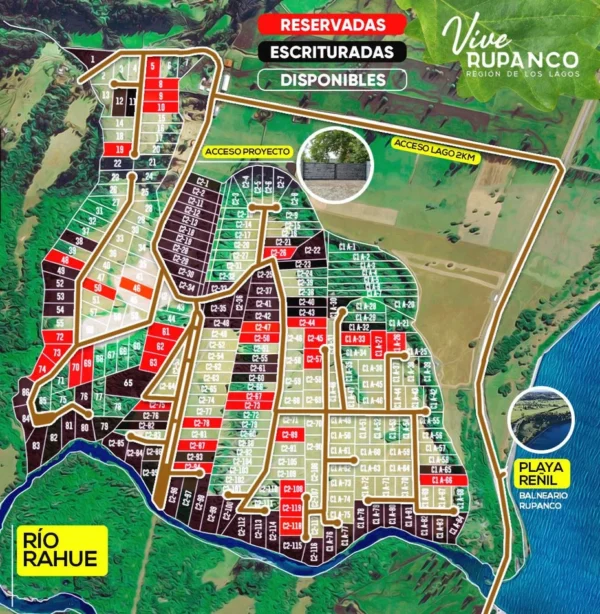 vive rupanco