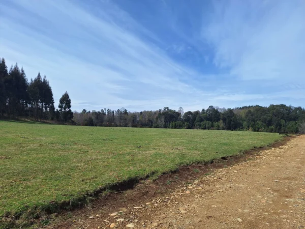 hermosas parcelas por ruta s 91 río, luz y agua. crédito directo