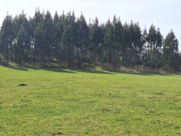hermosas parcelas por ruta s 91 río, luz y agua. crédito directo