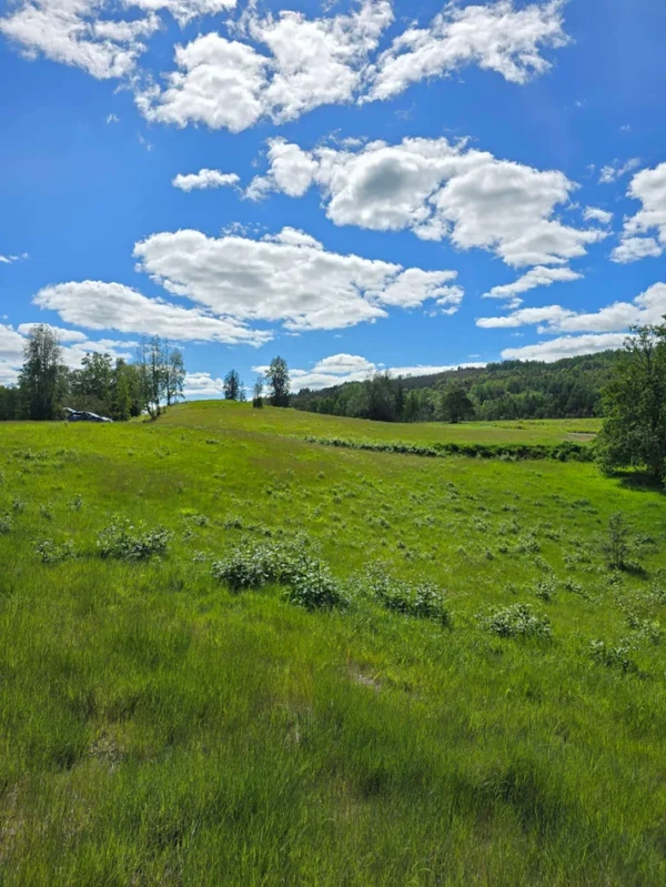 praderas de villarrica iii y iv desde $24.990.000