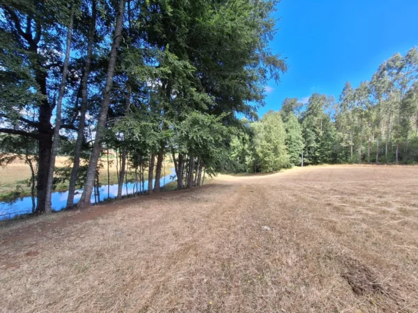 hermosas parcelas por ruta s 91 río, luz y agua. crédito directo