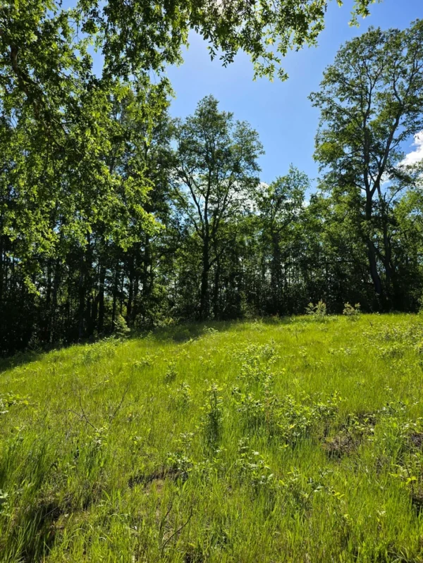 praderas de villarrica iii y iv desde $24.990.000