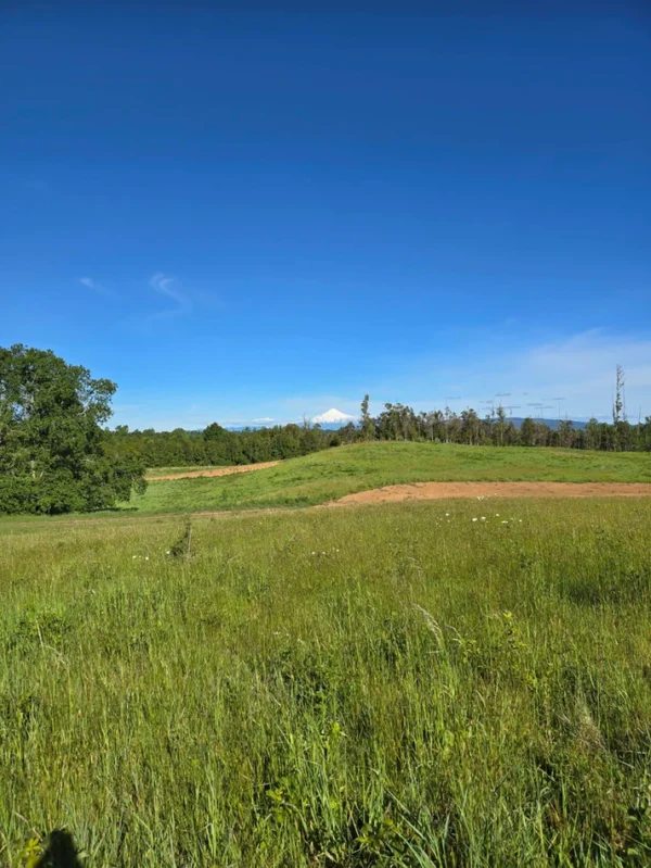 praderas de villarrica iii y iv desde $24.990.000