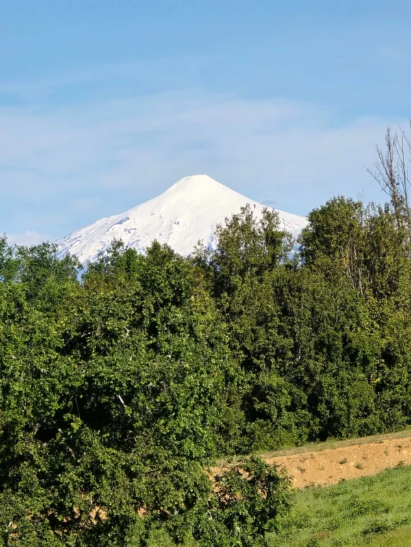 praderas de villarrica iii y iv desde $24.990.000