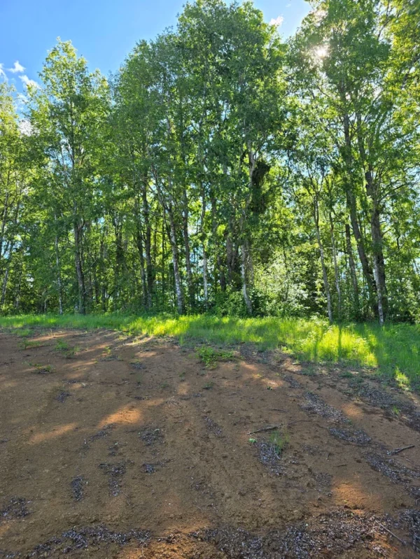 praderas de villarrica iii y iv desde $24.990.000