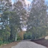 praderas de villarrica etapa ii desde $25.000.000