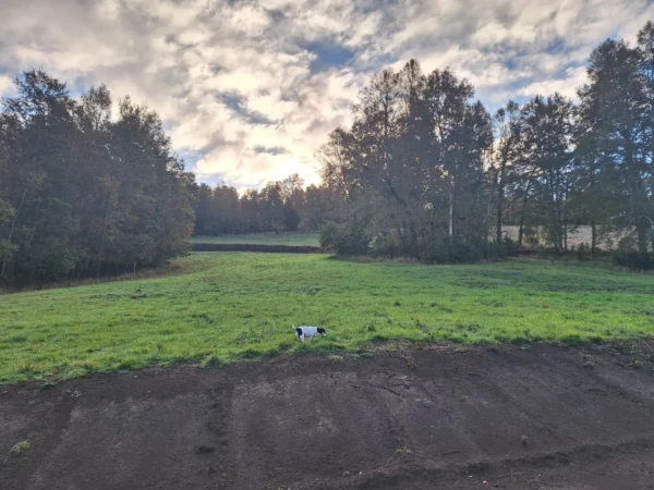 praderas de villarrica etapa ii desde $25.000.000