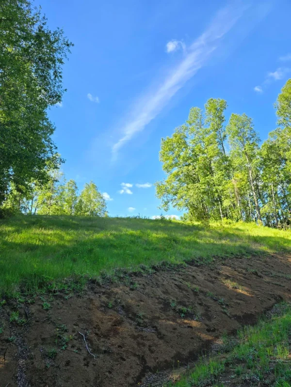 praderas de villarrica iii y iv desde $24.990.000