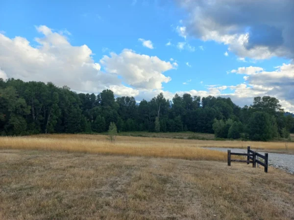 río escondido ruta villarrica pucón desde 2774 uf