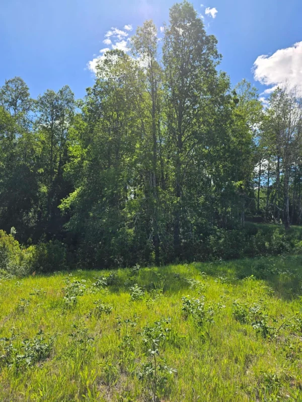 praderas de villarrica iii y iv desde $24.990.000