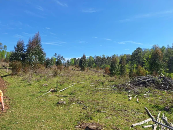 hermosas parcelas por ruta s 91 río, luz y agua. crédito directo