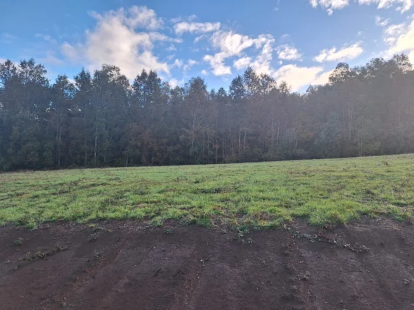 praderas de villarrica etapa ii desde $25.000.000