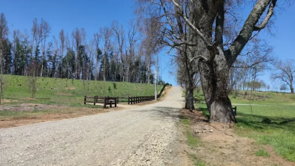 río escondido ruta villarrica pucón desde 2774 uf