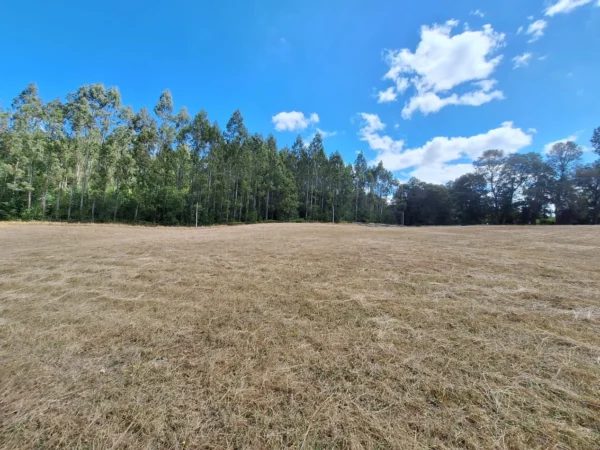 hermosas parcelas por ruta s 91 río, luz y agua. crédito directo