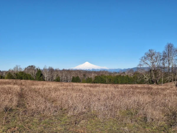 praderas de villarrica iii y iv desde $24.990.000