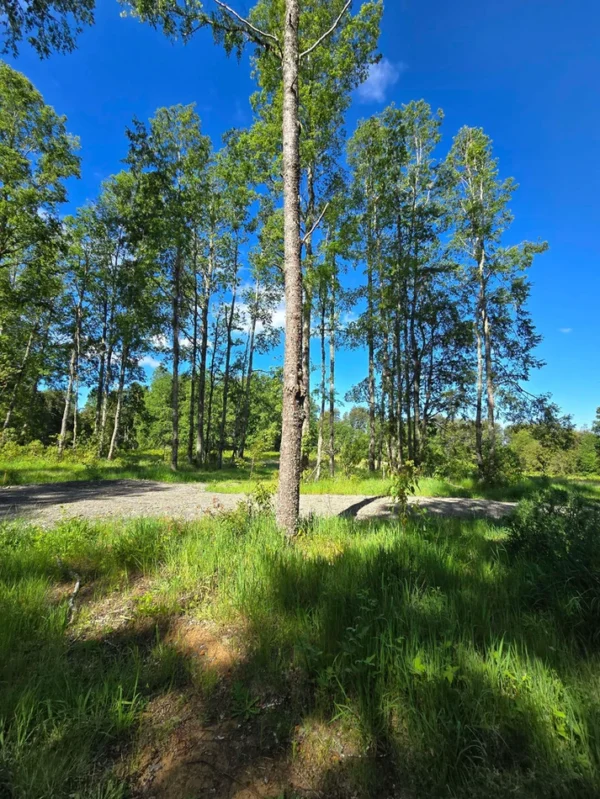 praderas de villarrica iii y iv desde $24.990.000