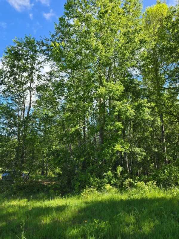 praderas de villarrica iii y iv desde $24.990.000