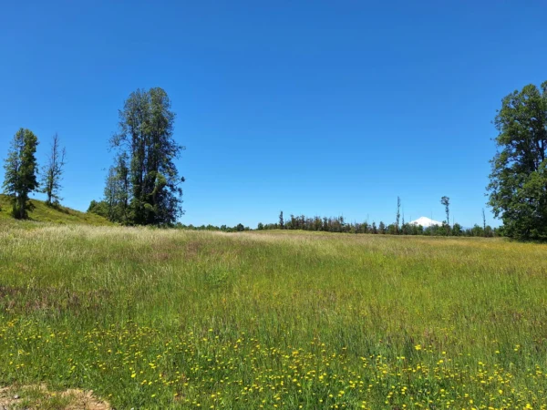 praderas de villarrica iii y iv desde $24.990.000