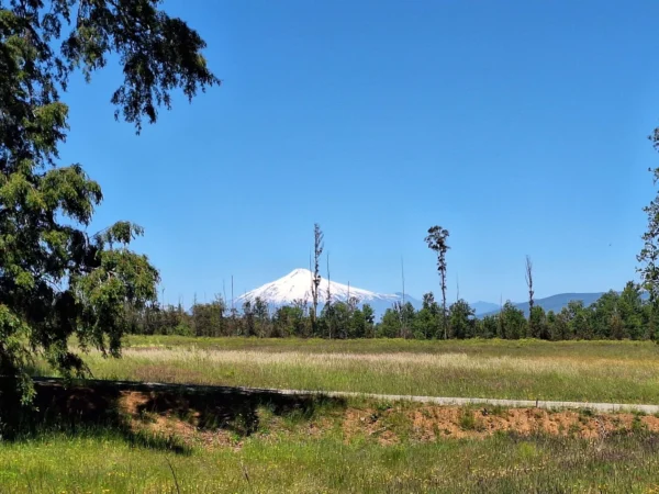 praderas de villarrica iii y iv desde $24.990.000
