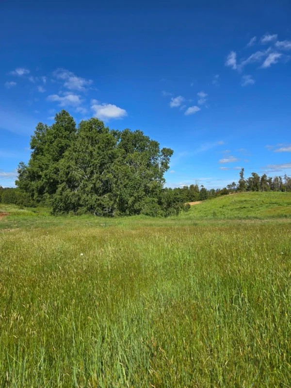 praderas de villarrica iii y iv desde $24.990.000