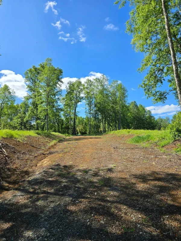 praderas de villarrica iii y iv desde $24.990.000