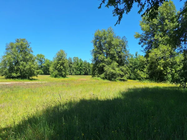 praderas de villarrica iii y iv desde $24.990.000