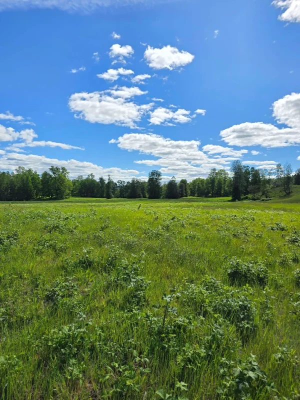 praderas de villarrica iii y iv desde $24.990.000