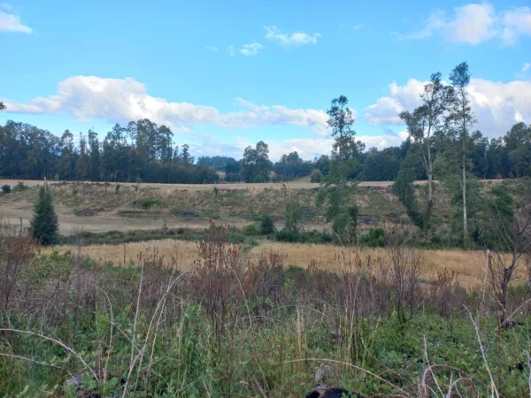 río escondido ruta villarrica pucón desde 2774 uf