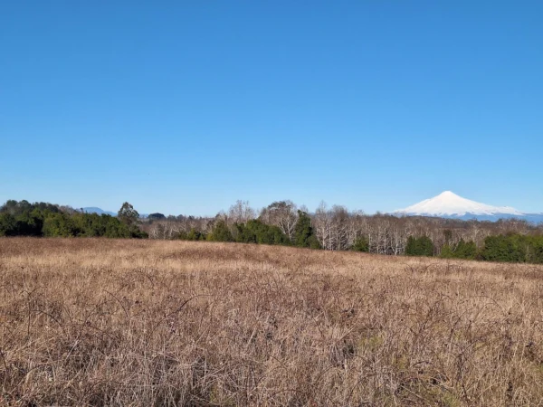 praderas de villarrica iii y iv desde $24.990.000