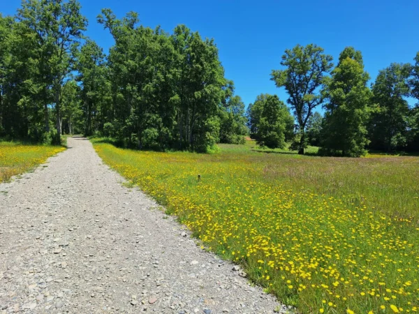 praderas de villarrica iii y iv desde $24.990.000