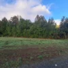 praderas de villarrica etapa ii desde $25.000.000