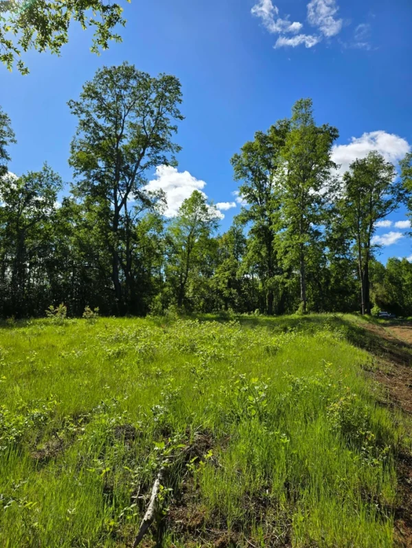 praderas de villarrica iii y iv desde $24.990.000