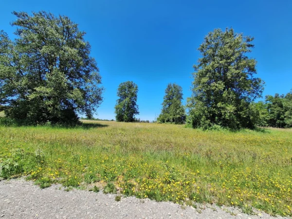 praderas de villarrica iii y iv desde $24.990.000