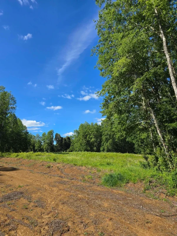 praderas de villarrica iii y iv desde $24.990.000