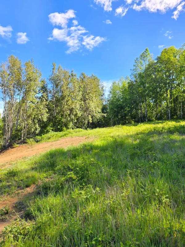 praderas de villarrica iii y iv desde $24.990.000