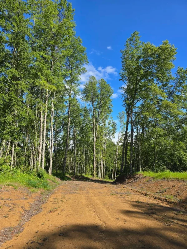 praderas de villarrica iii y iv desde $24.990.000