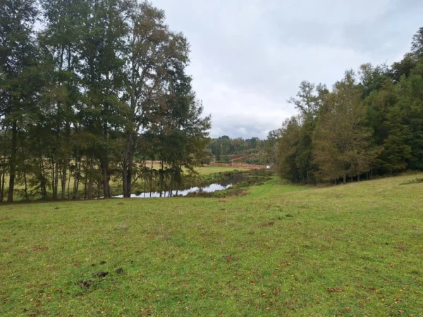 hermosas parcelas por ruta s 91 río, luz y agua. crédito directo