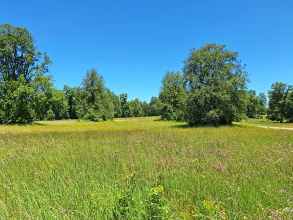 praderas de villarrica iii y iv desde $24.990.000