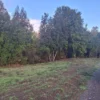 praderas de villarrica etapa ii desde $25.000.000