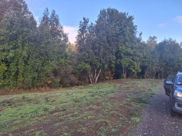 praderas de villarrica etapa ii desde $25.000.000