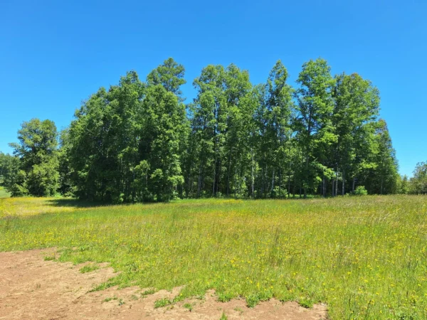 praderas de villarrica iii y iv desde $24.990.000