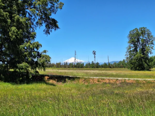 praderas de villarrica iii y iv desde $24.990.000