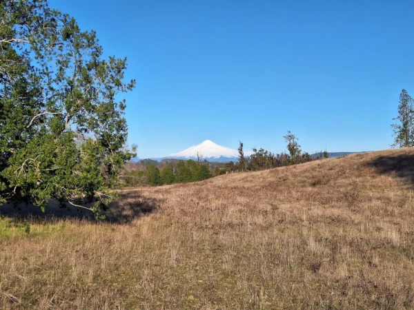 praderas de villarrica iii y iv desde $24.990.000